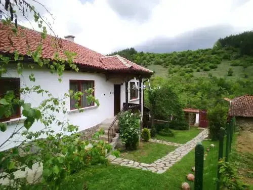 Драгоман: Guest House Bor