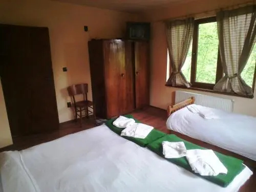Драгоман: Guest House Bor