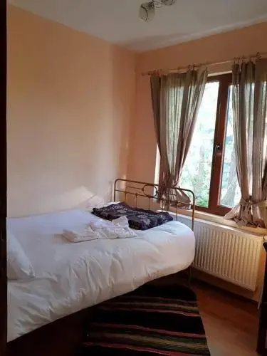 Драгоман: Guest House Bor