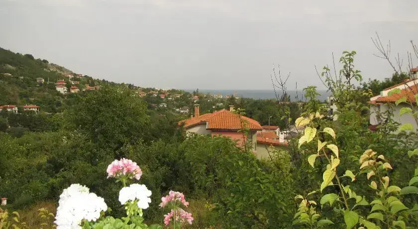 Балчик: Guest House Yanakievi