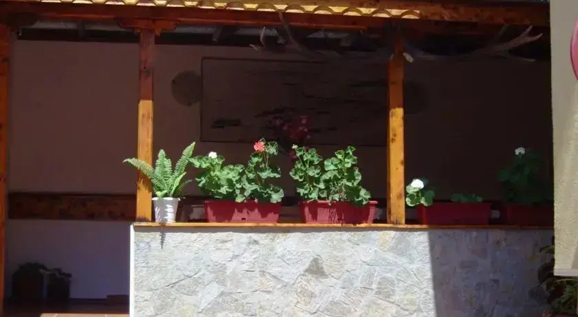 Созополь: Andonov Guest House