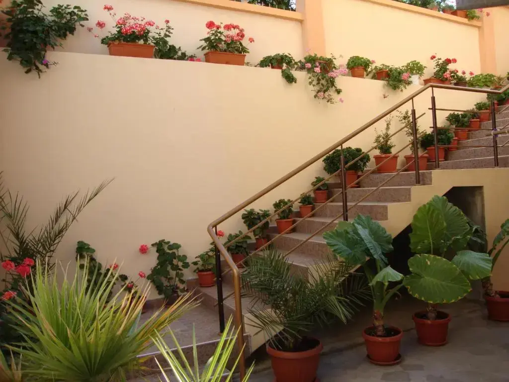 Созополь: Hotel Orchidea