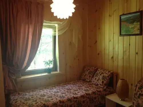 Чемал: Guest House Lounge