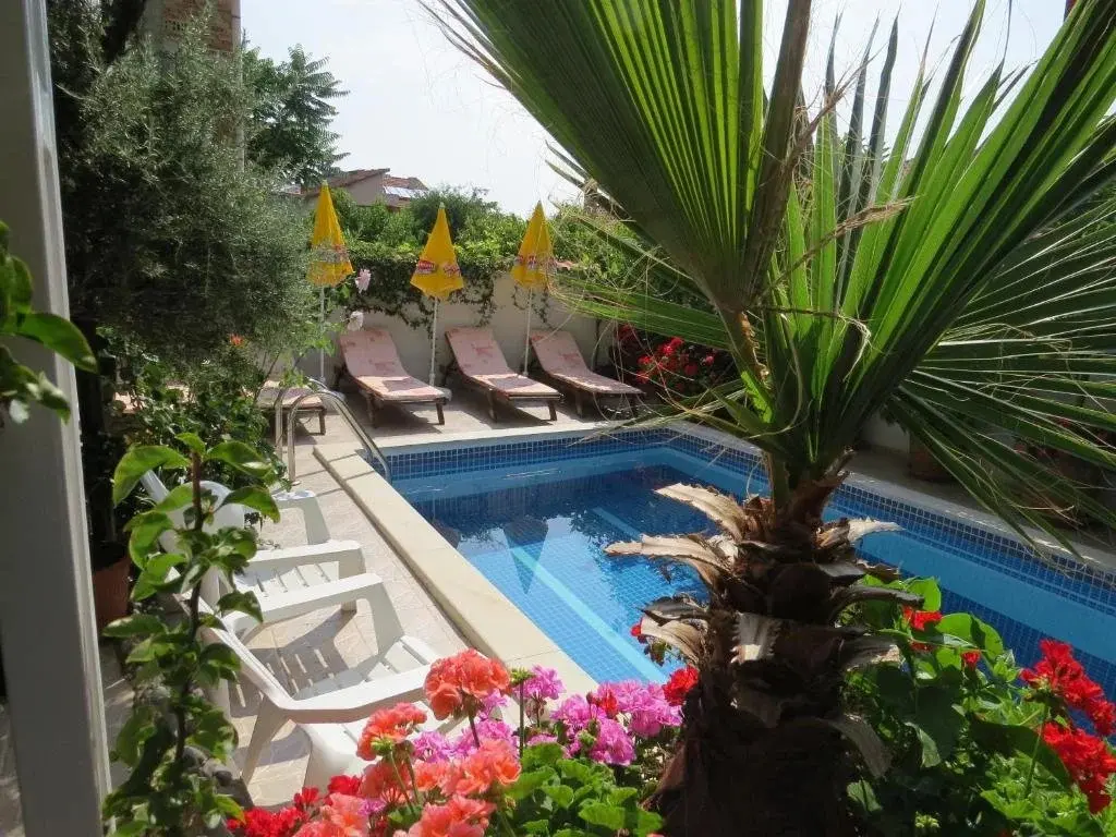 Созополь: Family Hotel Sofi