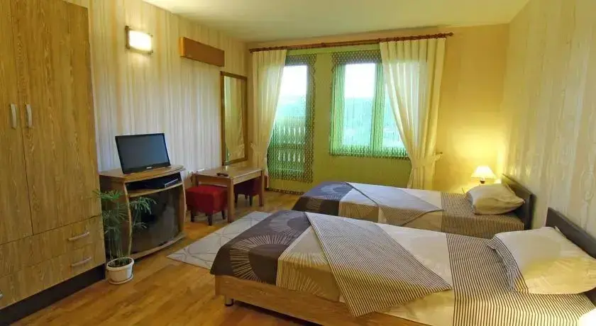 Велико Тырново: Hotel Asenevtsi