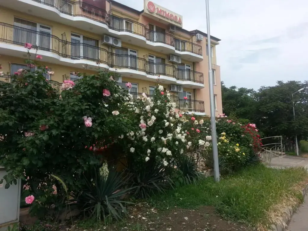Царево: Hotel Mimosa