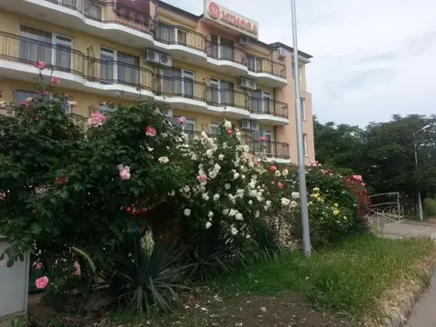 Hotel Mimosa — фото 1