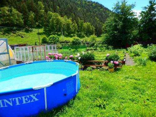 Чемал: Guest House Usadba Derevenka