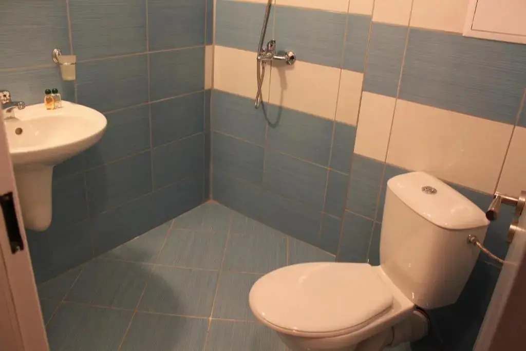 Солнечный берег: Rose Garden Omax Hotel Apartments