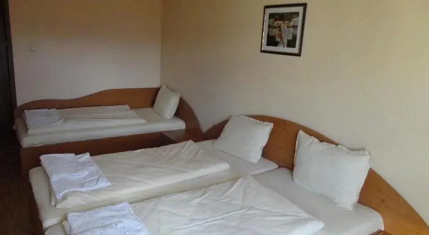 Баня: Saint Nikola Family Hotel