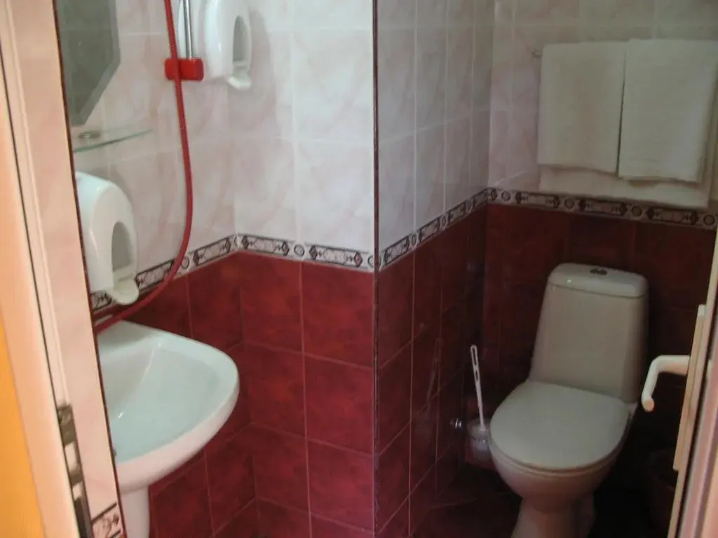 Чепеларе: Family Hotel Savov