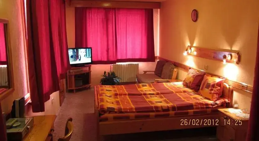 Чепеларе: Family Hotel Savov