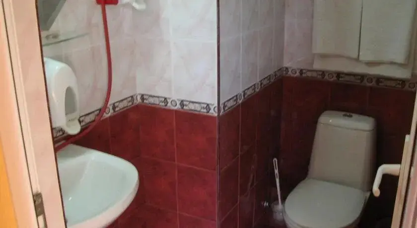 Чепеларе: Family Hotel Savov