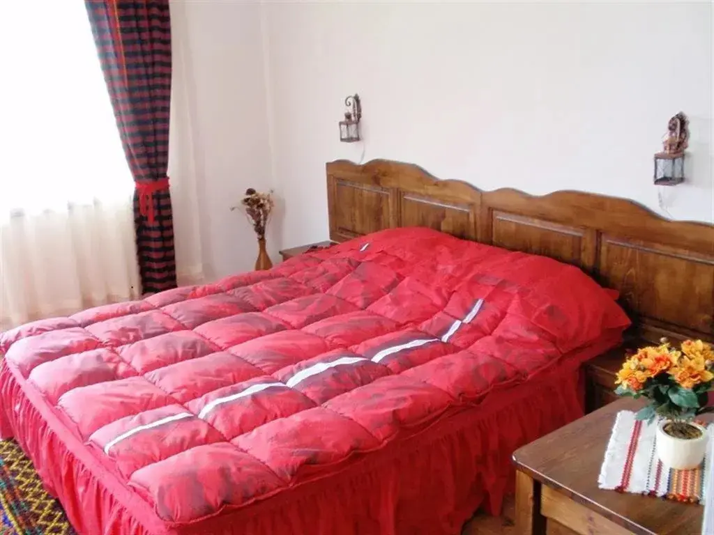 Сапарева баня: Family Hotel Emaly 2