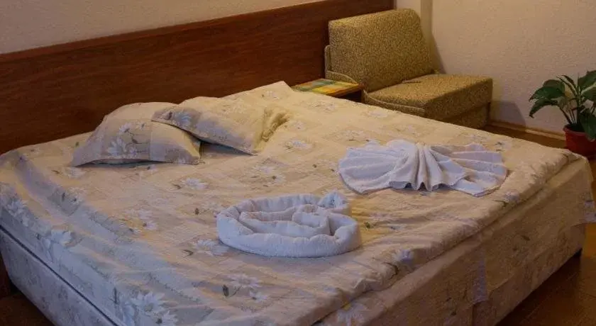 Банско: Villa Vera Guest House