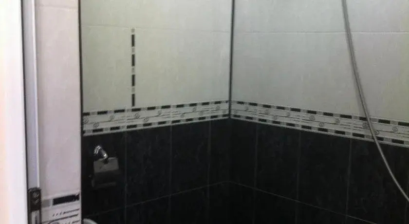 Велинград: Family Hotel Velevi
