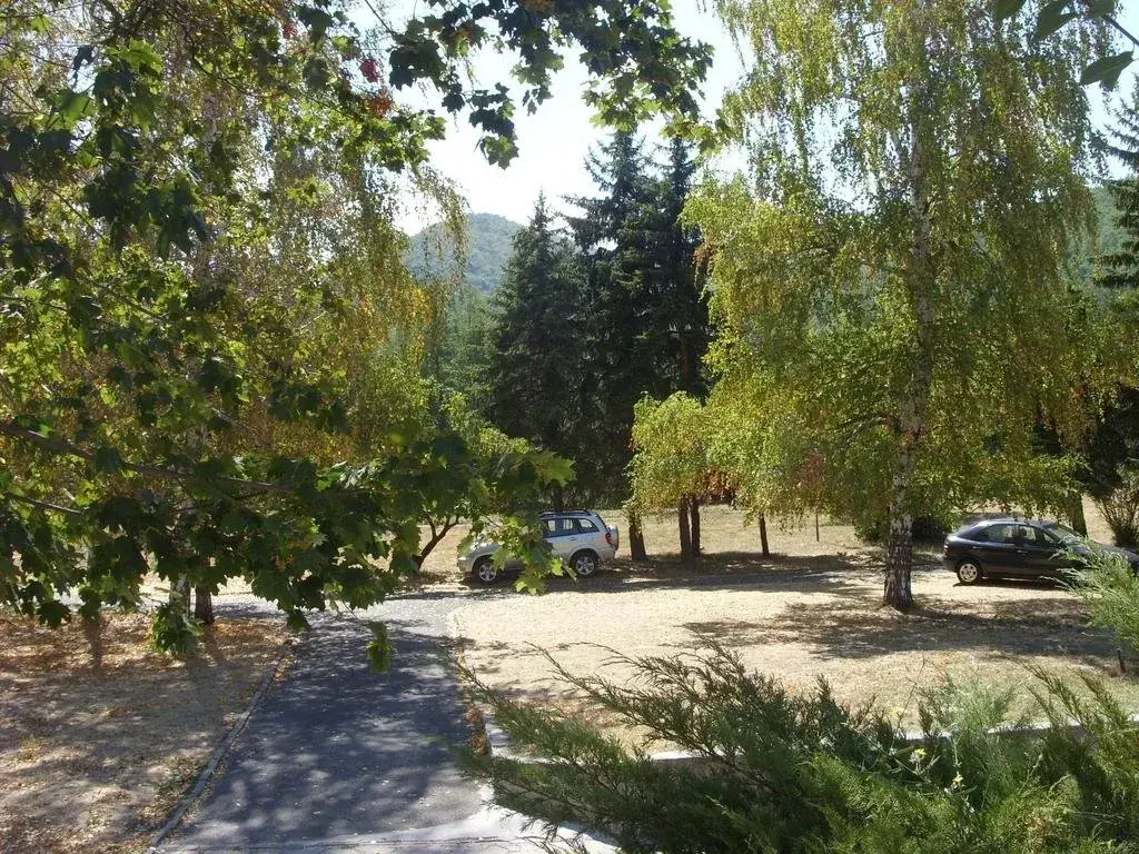 Боровец: Hotel Priroda