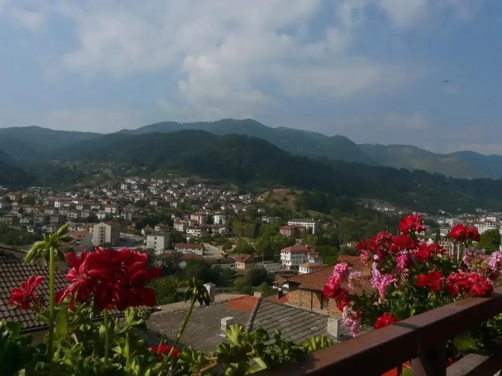 Девин: Family Hotel Zdravec