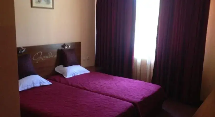 Велинград: Hotel Orchidea