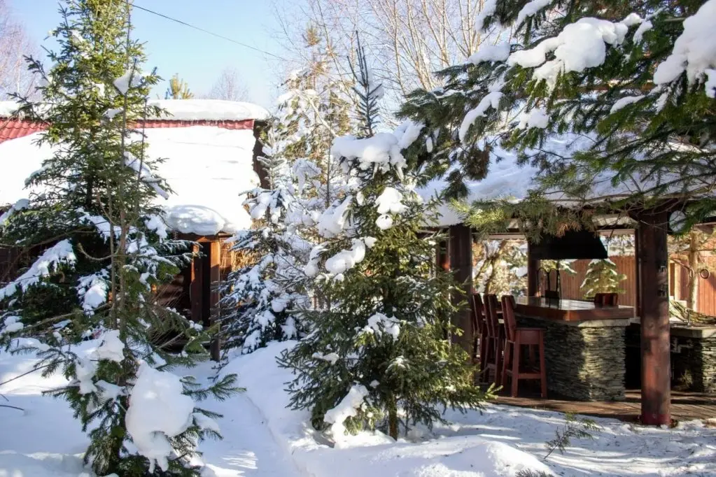 Телецкое озеро: Гостевой Lом Lake House