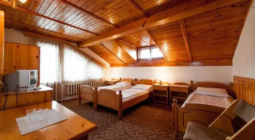 Банско: Family Hotel Djangal
