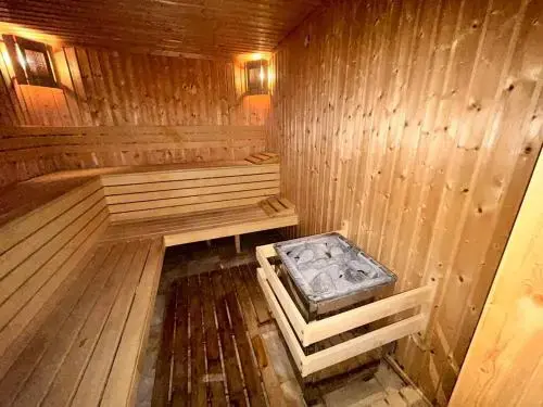 Банско: Pirin Lodge