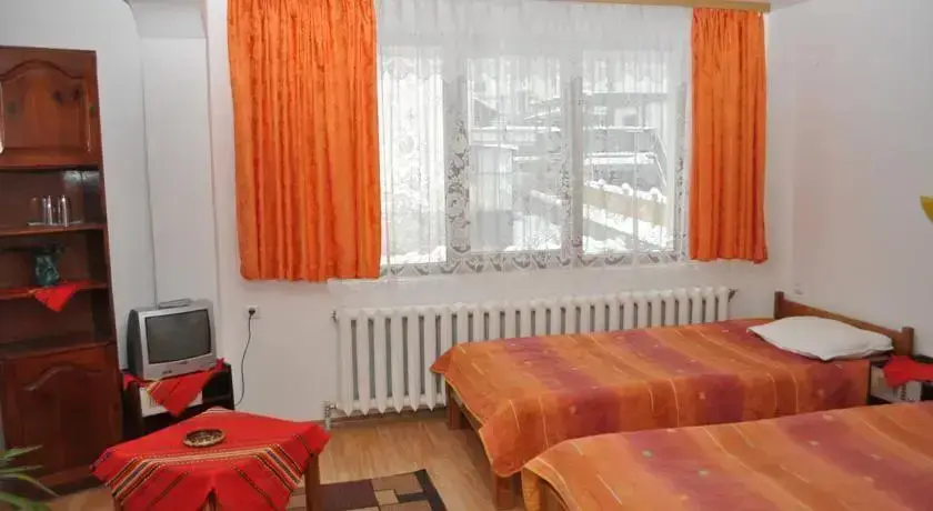 Банско: Hotel Alpin Bansko