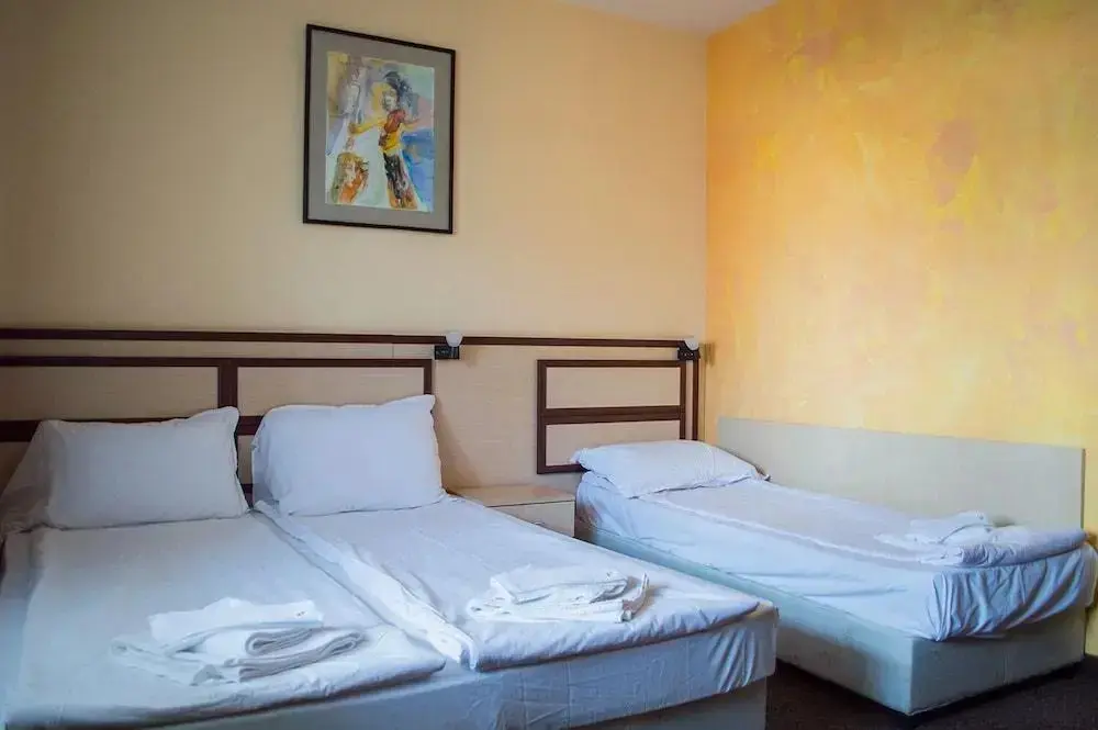 Банско: Hotel Rodina