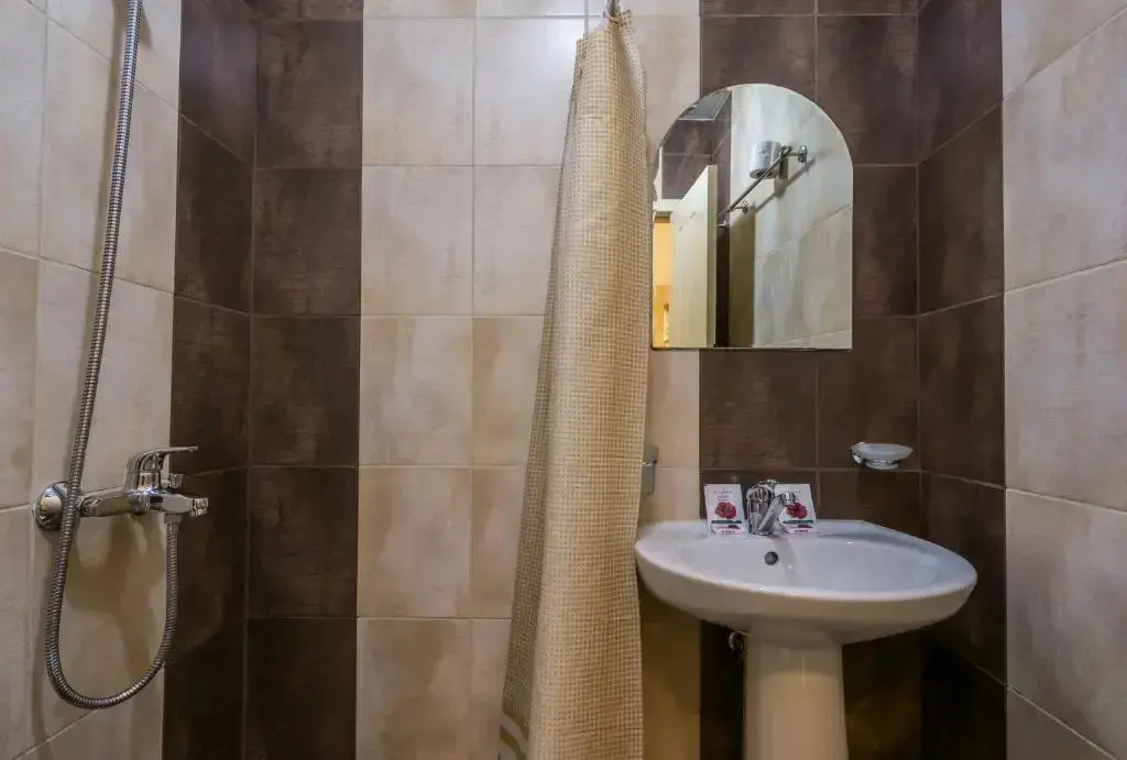Велико Тырново: Hotel Anhea