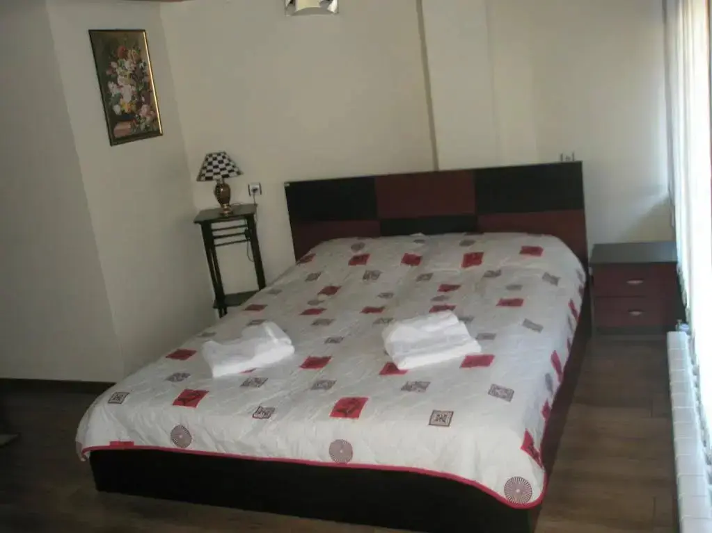 Банско: Hotel Skabrin