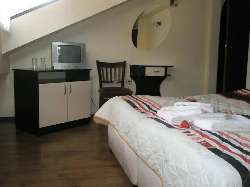 Банско: Hotel Skabrin