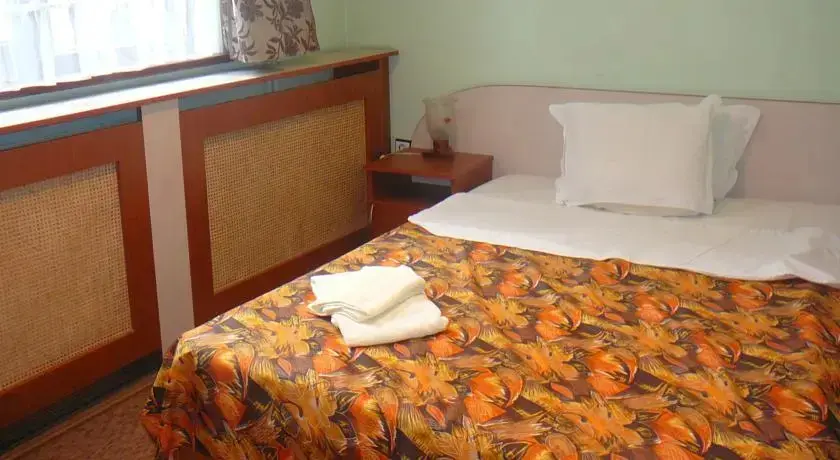 Банско: Family Hotel Tipik