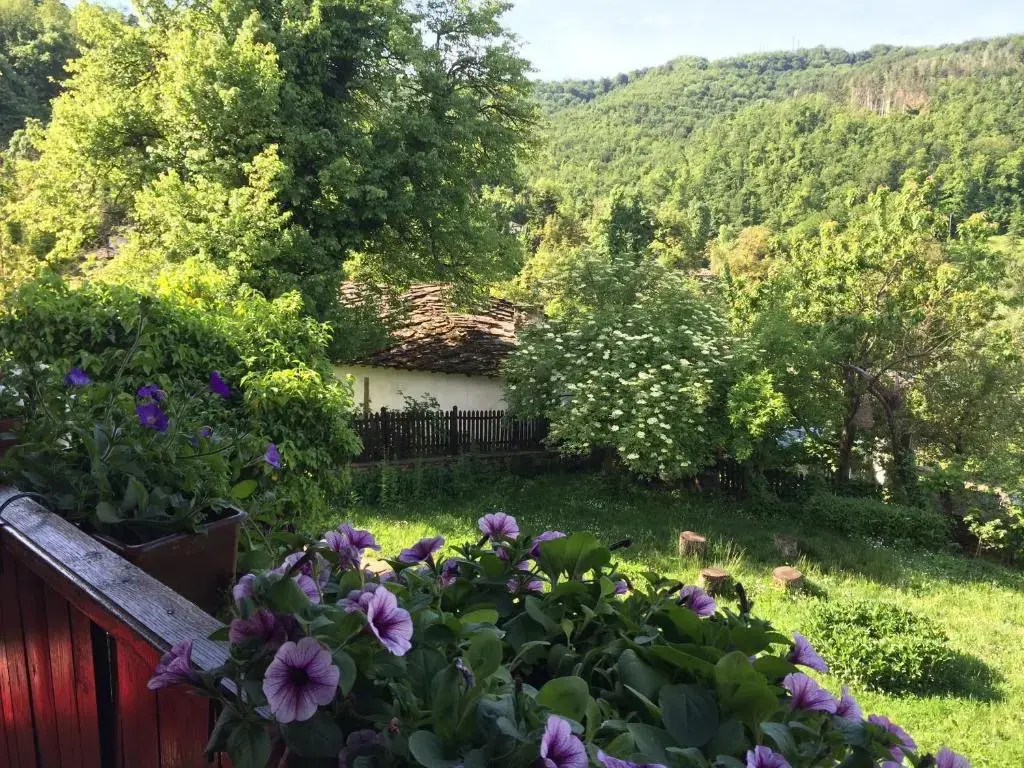 Боженци: Stefanina Guesthouse