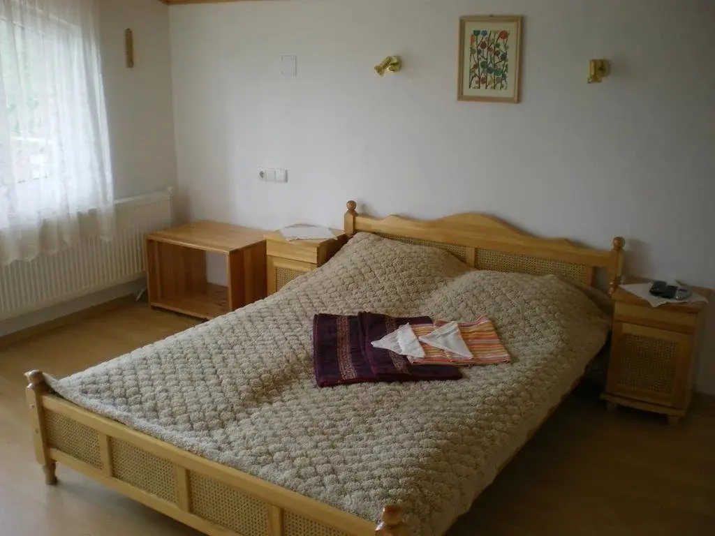 Троян: Hotel Bojana
