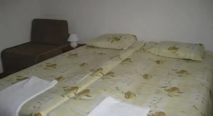Банско: Guest Rooms Vachin