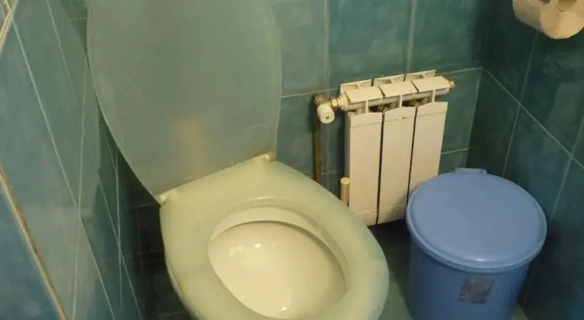 Копривштица: Guest House Velina
