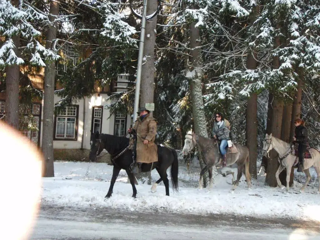Самоков: Saint George Borovets Hotel