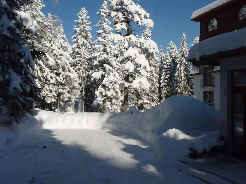 Самоков: Saint George Borovets Hotel