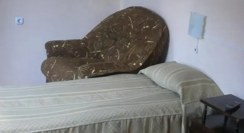 Банско: Guest House Sevda