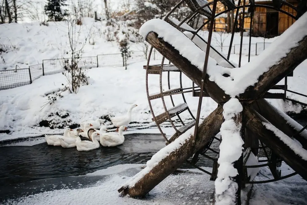 Чемал: Peony Garden Guest House
