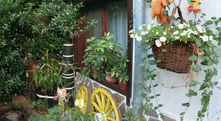 Банско: Guest House Hayloft