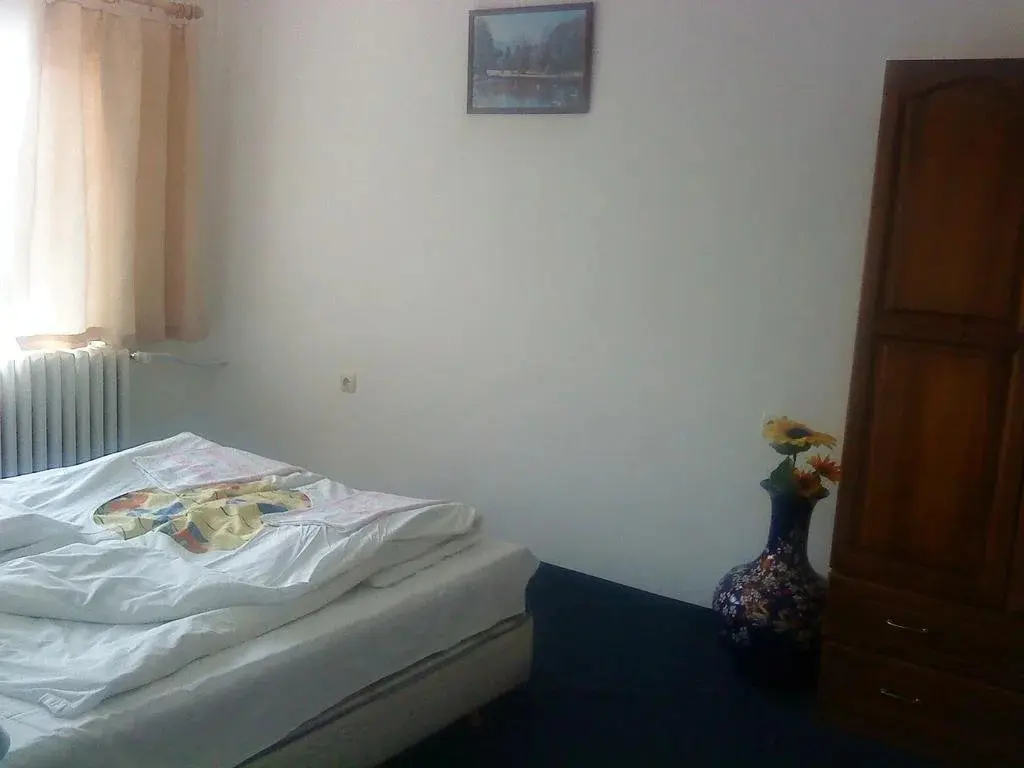 Пловдив: Park Hotel Rodopi