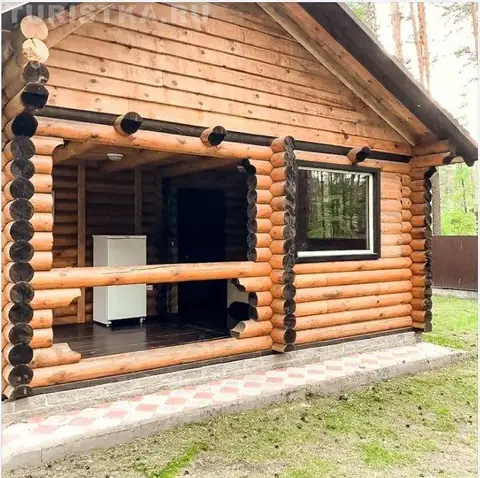 Примула — фото 1