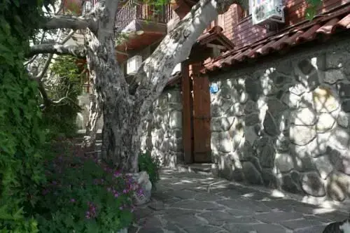 Созополь: Guestrooms Durna