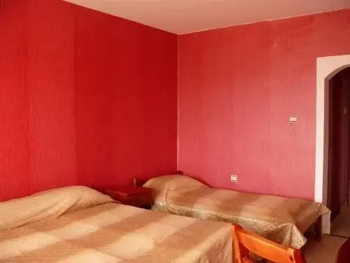 Велинград: Hotel Vitosha