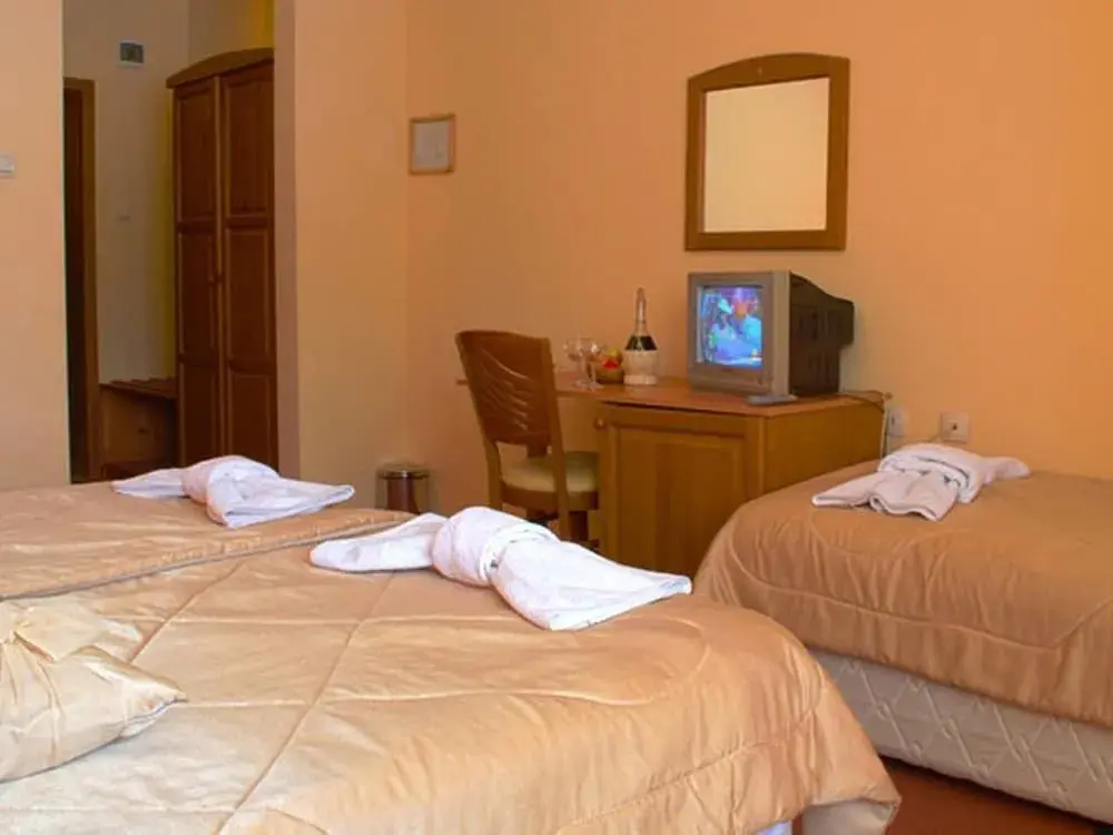 Банско: Pirina Club Hotel