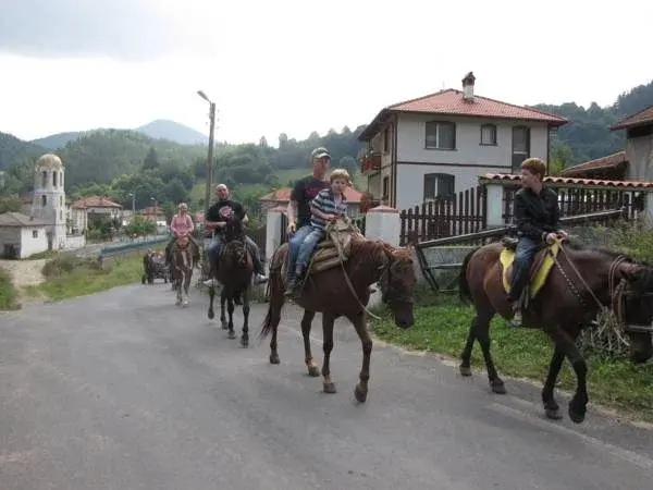 Чепеларе: Family Hotel Smolena