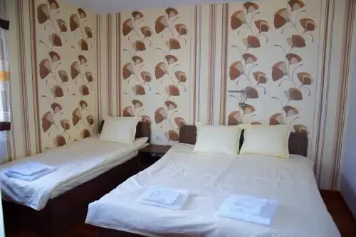 Кюстендил: Hotel Tri Buki
