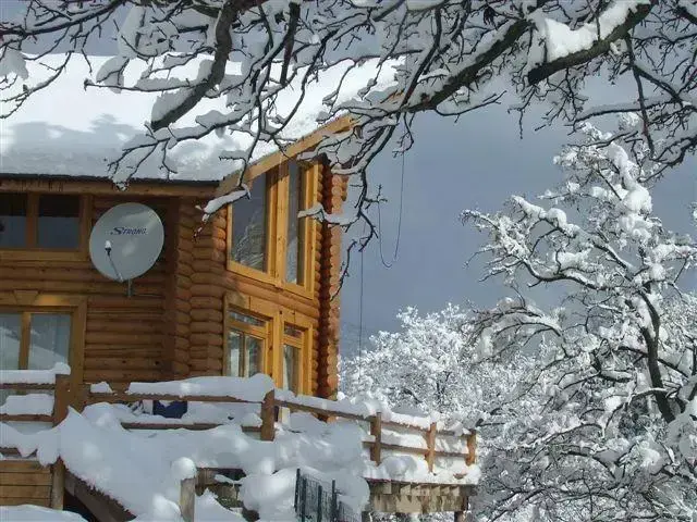 Разлог: The Green Pine Chalet