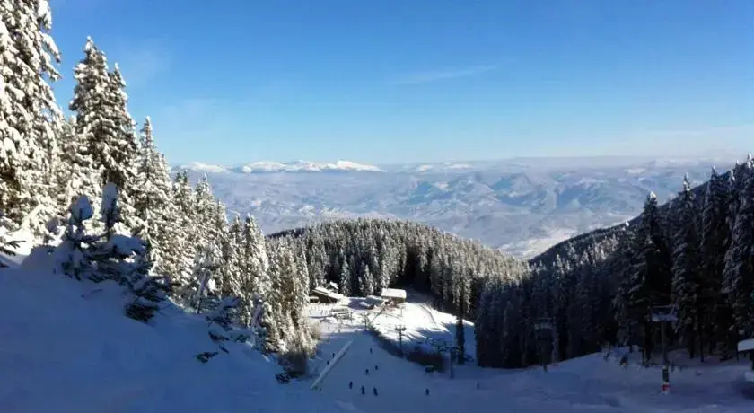 Разлог: The Green Pine Chalet
